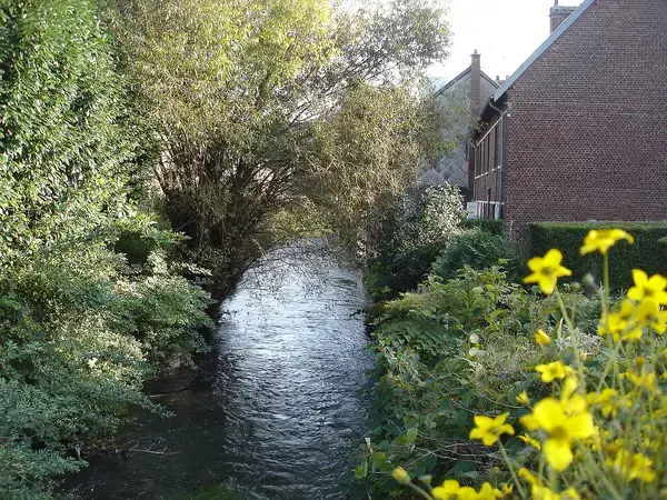 Monte Escalier Solution Monte escalier Déville-lès-Rouen