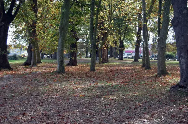 Monte Escalier Solution Monte escalier Idron
