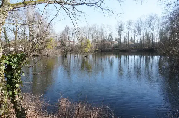 Monte Escalier Solution Monte escalier La Chapelle-Saint-Luc