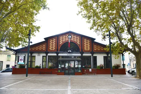 Solutions Monte Escalier Pose monte escalier Lansargues