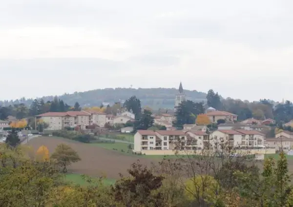 Solutions Monte Escalier Pose monte escalier Lentilly