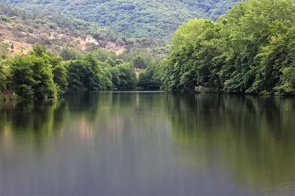 Solutions Monte Escalier Pose monte escalier Les Adrets-de-l'Estérel