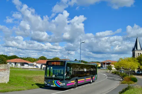 Solutions Monte Escalier Pose monte escalier Narrosse