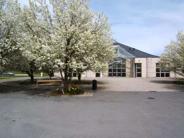 Solutions Monte Escalier Pose monte escalier Olemps