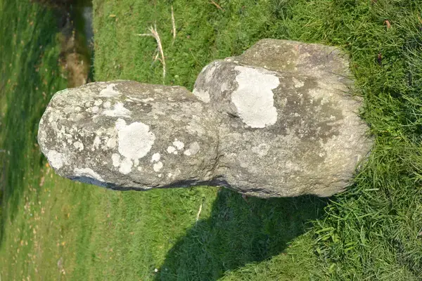 Solutions Monte Escalier Pose monte escalier Prinquiau