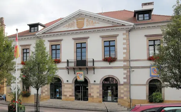 Solutions Monte Escalier Pose monte escalier Rouffach