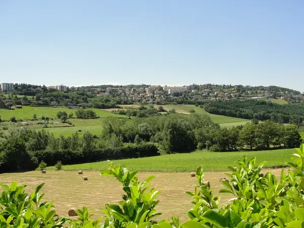 Solutions Monte Escalier Pose monte escalier Saint-Genest-Lerpt